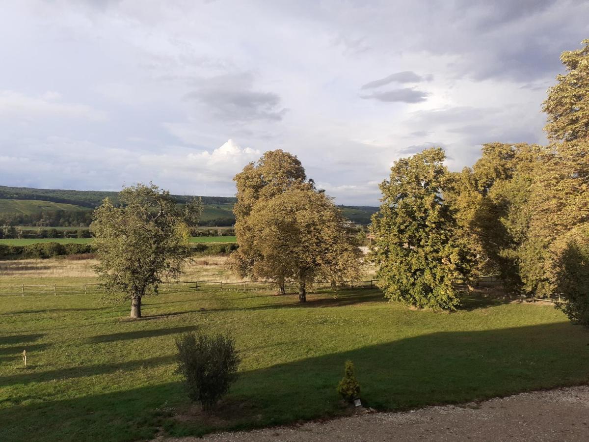 Domaine-De-La-Borde A Epernay Bed & Breakfast Mardeuil Exterior photo